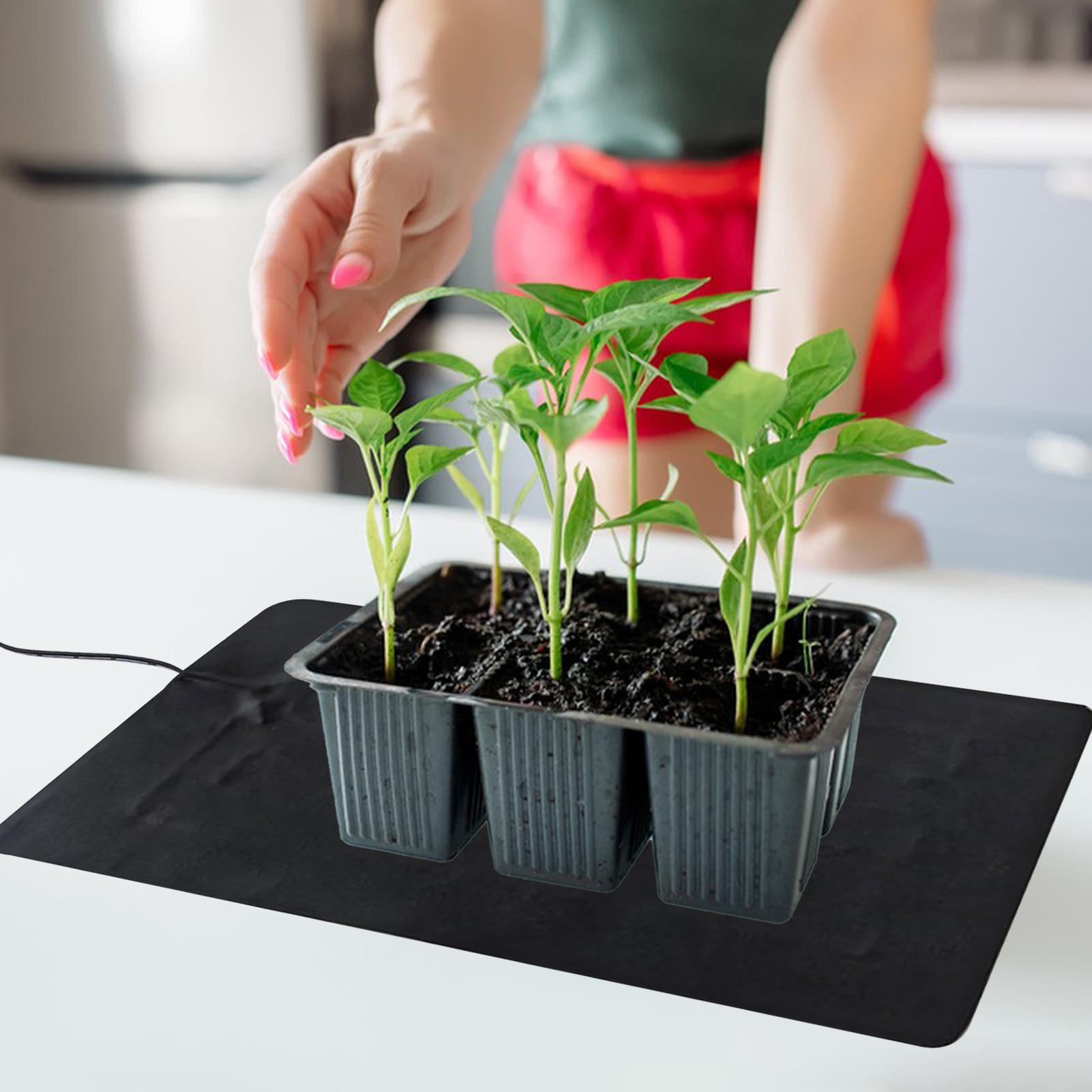 3 Temperature Adjustable Plant - Men'S Accessories Tray review and price